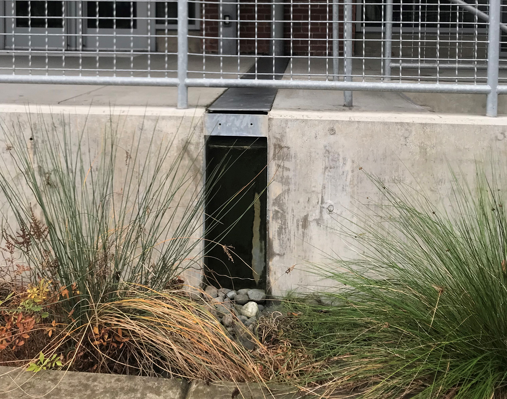 Rain Garden outside of Joy building that filters roof runoff.