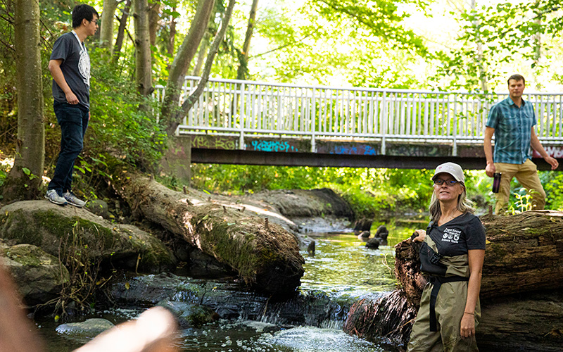 A team led by researchers at UW Tacoma, UW and Washington State University Puyallup has discovered a chemical that kills coho salmon in urban streams before the fish can spawn. Shown here Zhenyu Tian (left), a research scientist at the Center for Urban Waters at UW Tacoma; Jenifer McIntyre (right), an assistant professor at WSU School of the Environment in Puyallup; and Edward Kolodziej (right, background), an associate professor in UW Tacoma Division of Sciences & Mathematics