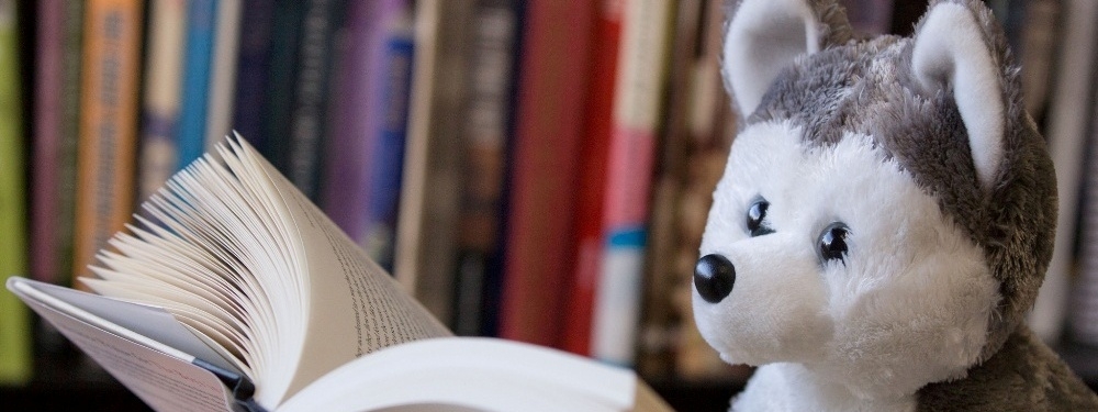 Photo of plush husky reading a book
