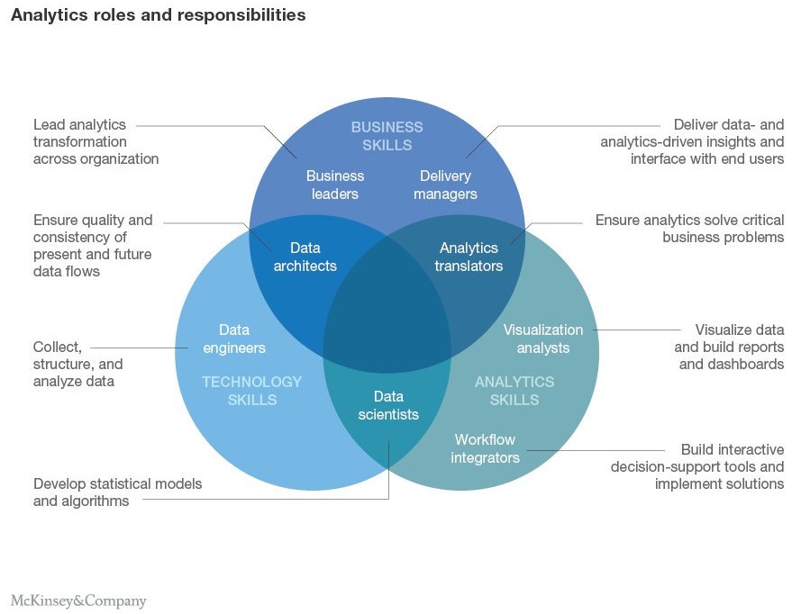 Analytics Roles