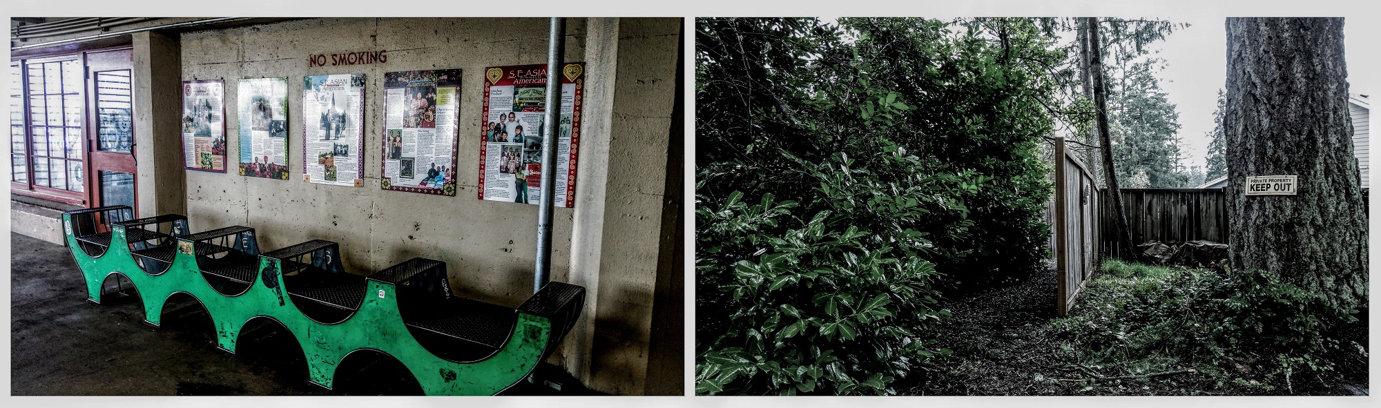 Two images juxtaposed against one another. The left image shows a series of metal seats in front of a concrete wall. A "No Smoking" sign is stamped into the concrete, and five posters are mounted on the surface, the leftmost poster with the heading "Hmong Americans," the second poster obscured by reflected light, and the remaining three read "SE Asian Americans." The right image shows a fence separating wild plant growth from a tree. A sign nailed to the tree reads "Private Property: Keep Out."