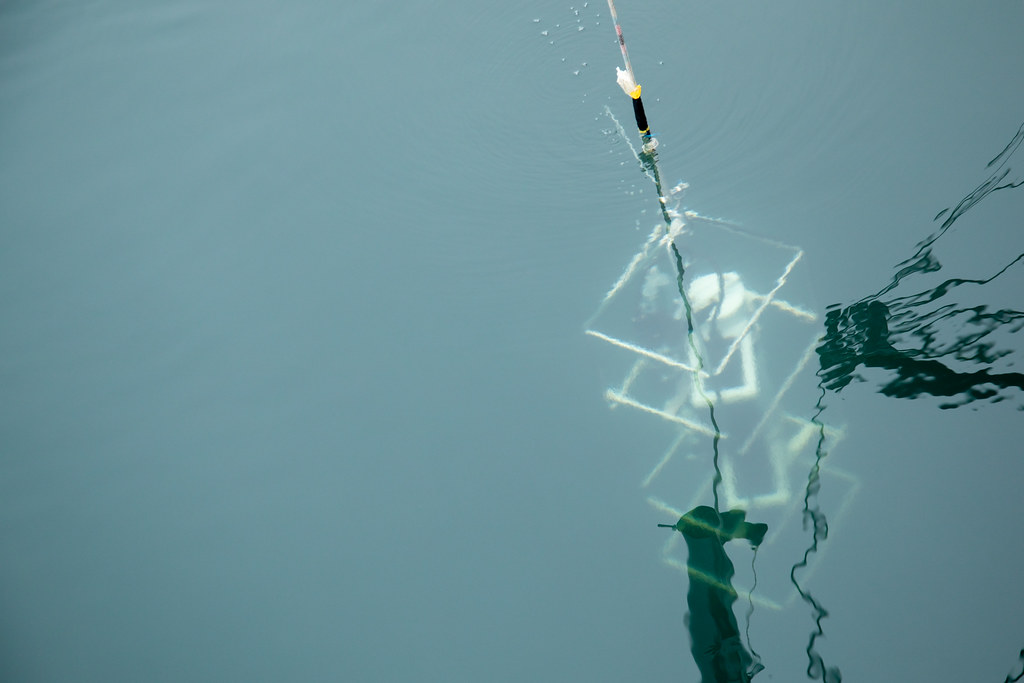 View of Sea Bird CTD instrument deployed beneath surface of Commencement Bay.