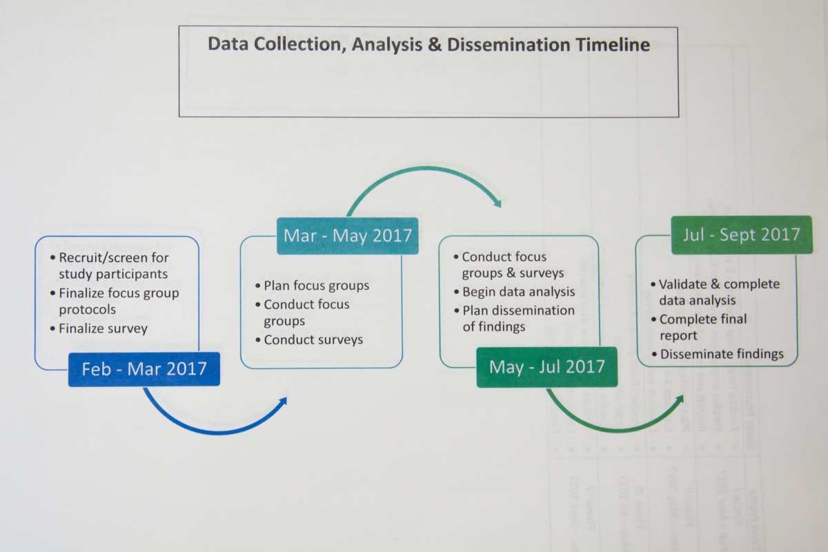 A working timeline of Reyes' research project.