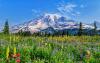 Mount Rainier