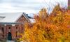 Fall Tree Outside Library