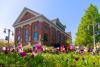 Tulips in front of the Library