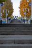 Picture of the W sculpture at UW Tacoma