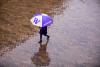 UW rainy day