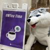 UWTea Time sign and husky plush