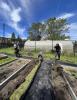 Photo of students working at giving garden