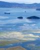 Puget Sound's Padilla Bay with tideflats in foreground, oil tankers in background